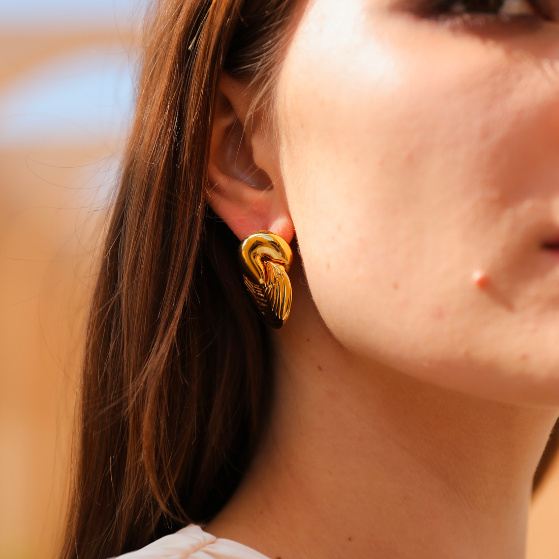Horus Wing Earrings