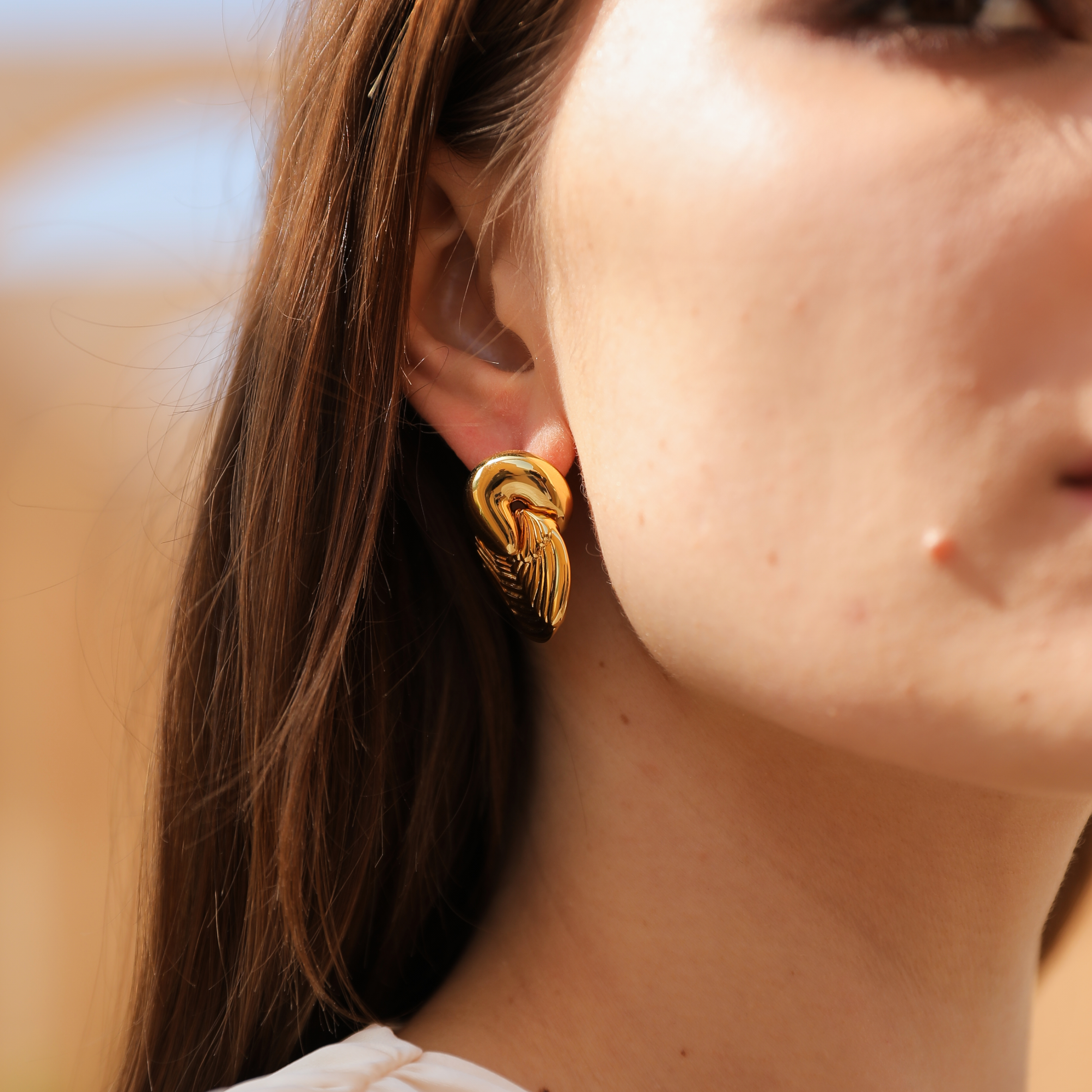 Horus Wing Earrings